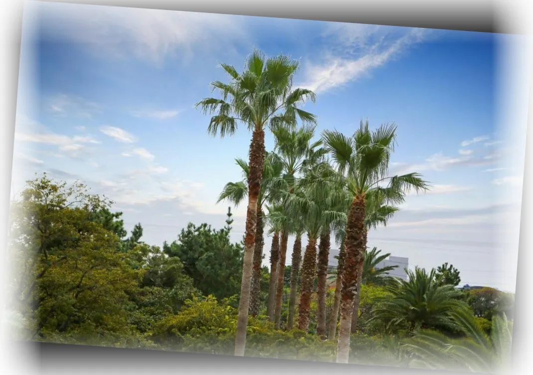_______image_4.webp