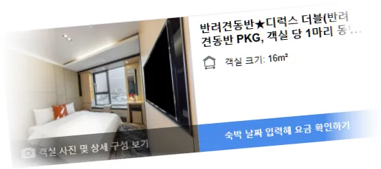 ___________room_5.webp