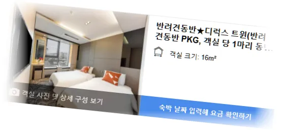 ___________room_8.webp