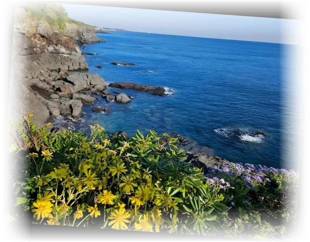 _________image_1.webp