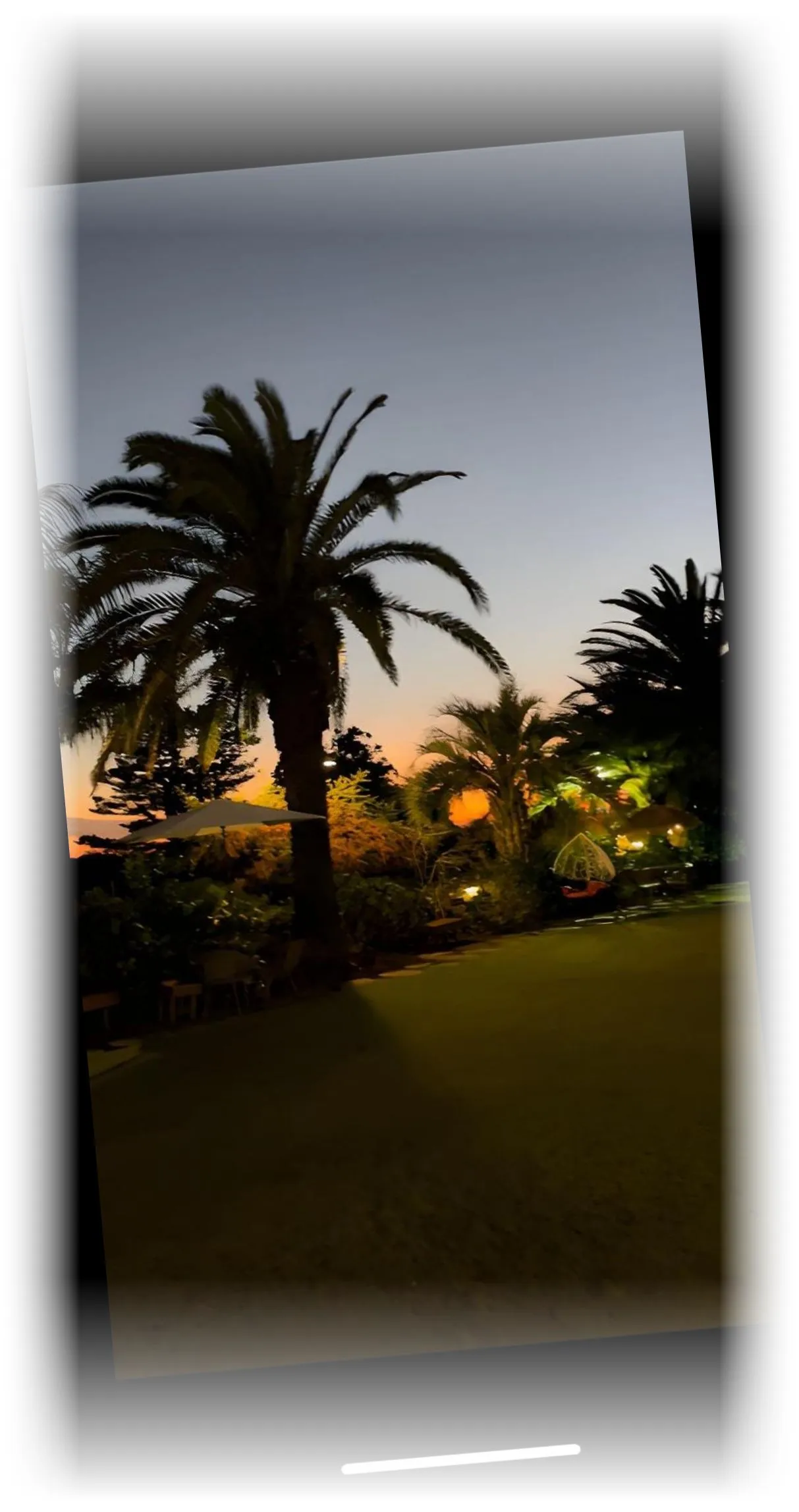 ___________image_6.webp